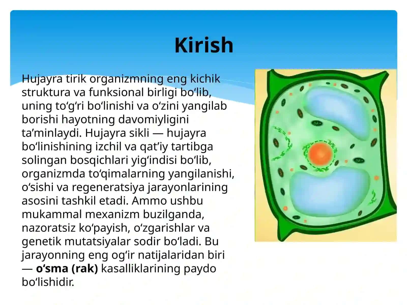 Hujayrasikli va O'sma (Rak):Molekulyar Genetikaning sirli dunyosi 3