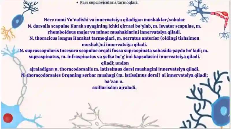 yelka chigali 3
