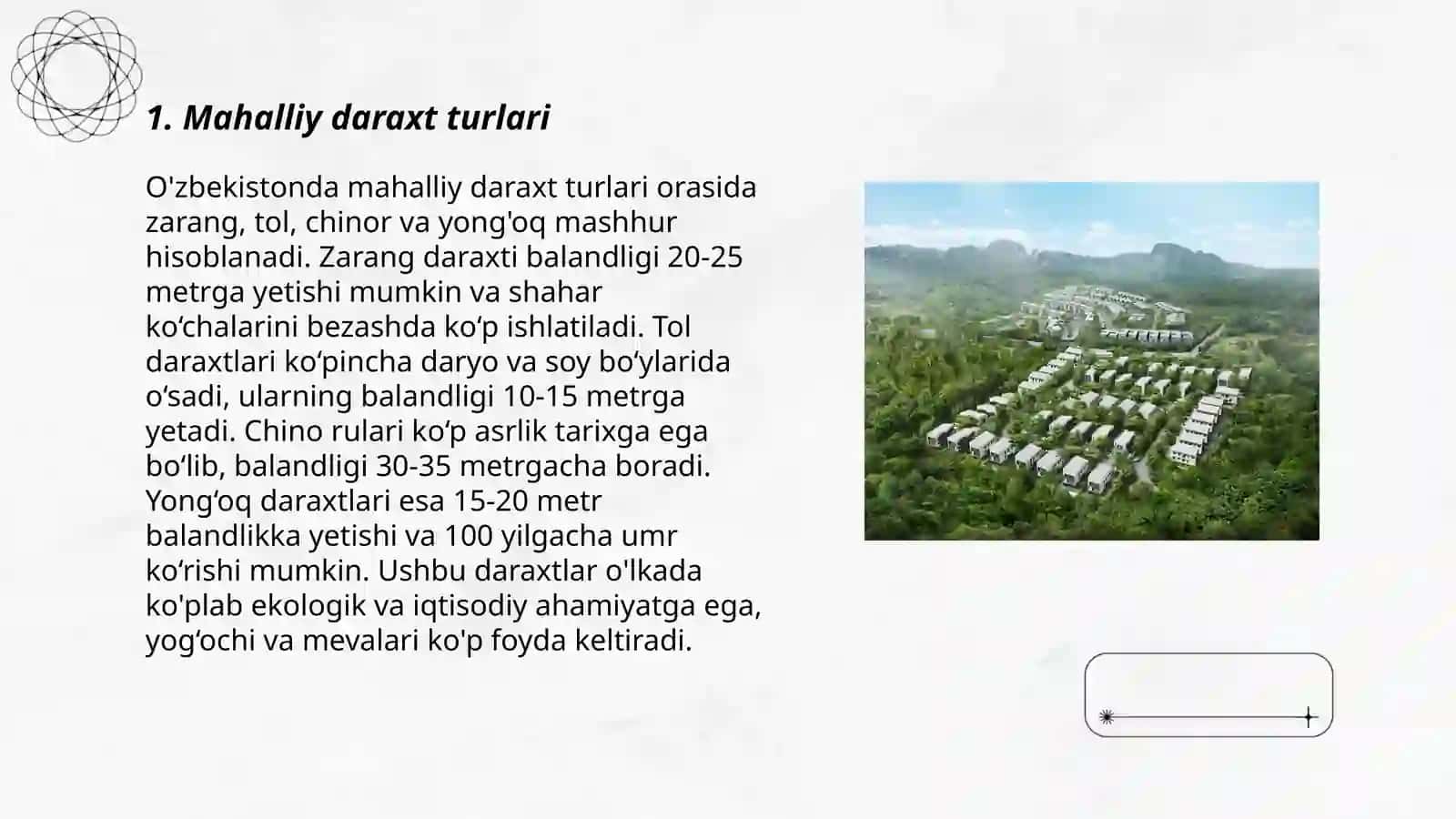 Mahalliy xududlarda oʻsadigan daraxtlar va ulardan olinadigan yogʻochlar 3