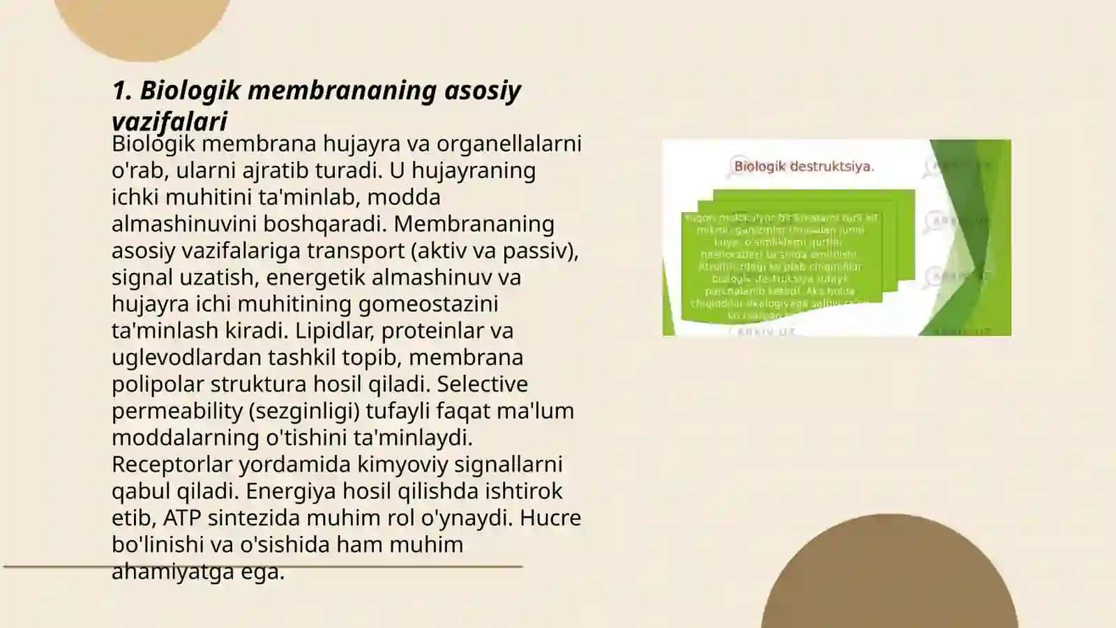 Biologik membrananing molekulyar tuzilishini chizma va animatsiya 3