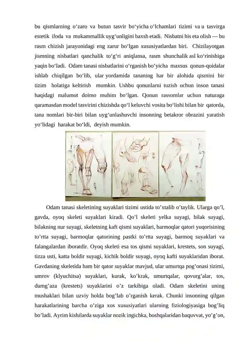 Odam qomati, tizza suyaklari anatomik tahlili 3