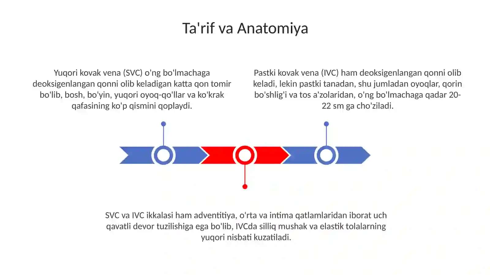 Yuqori va pastki kovak vena 3