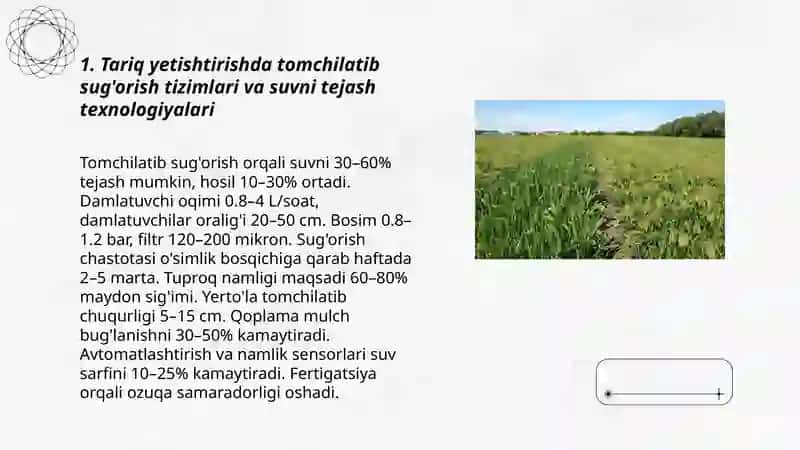 Tariq yetishtirishda resurs tejamkor texnologiyalar 3