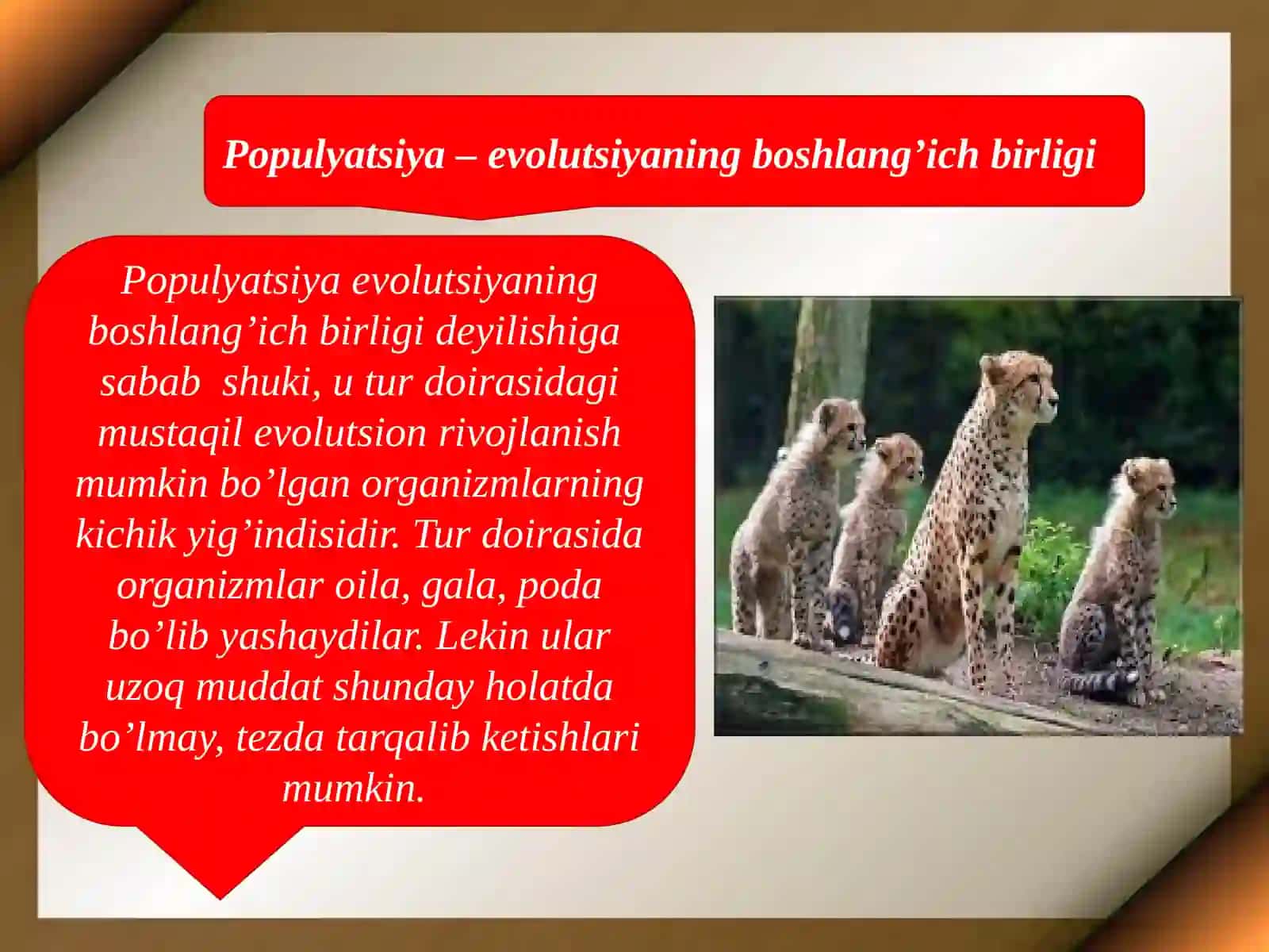 Evolutsiyaning sintetik 3
