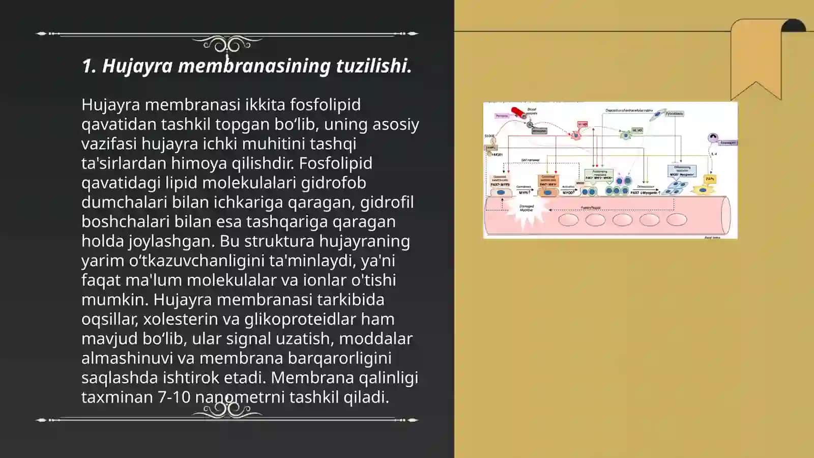 Hujayra sitosketining strukturaviy va funksional Tashkil etilishi. Hujayradagi transport jarayonlari 3