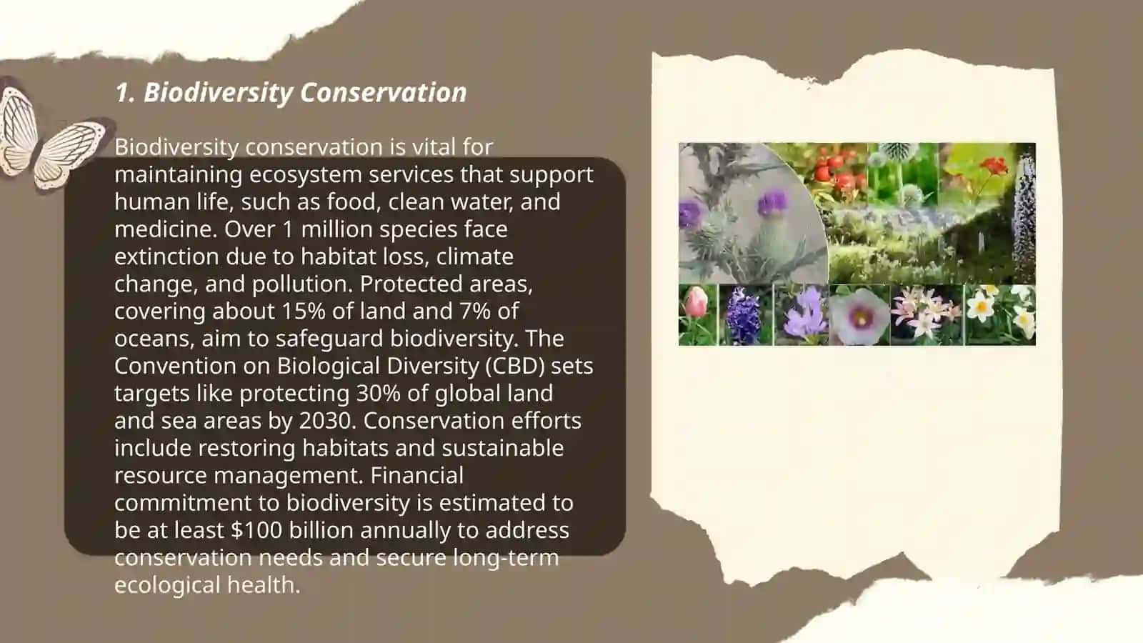 Biodiversity Conservation 3