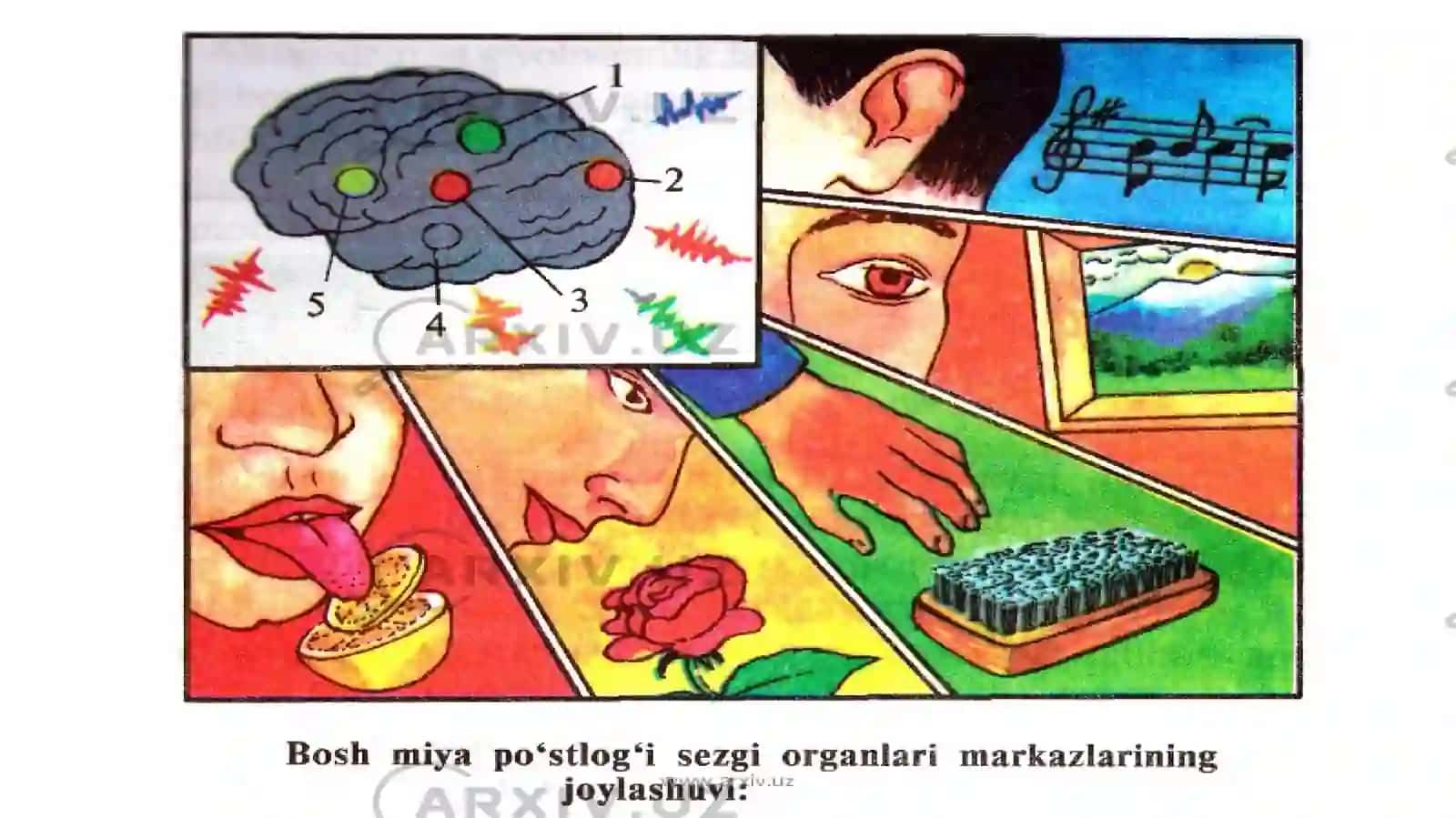Atanazarov Doniyorning Umumiy psixologiya va pedagogika fanidan taqdimoti 3