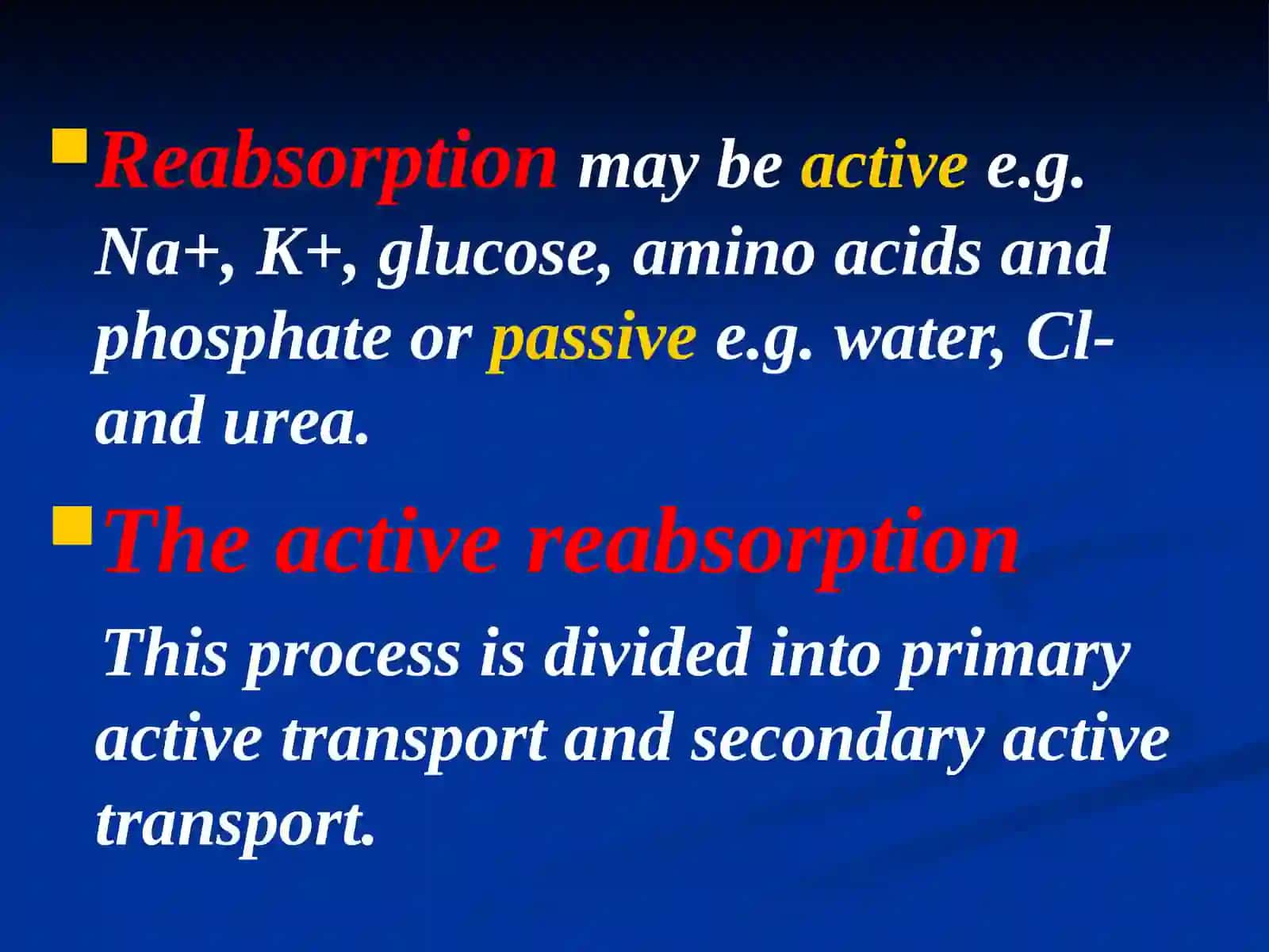 Function of Renal Tubules 3