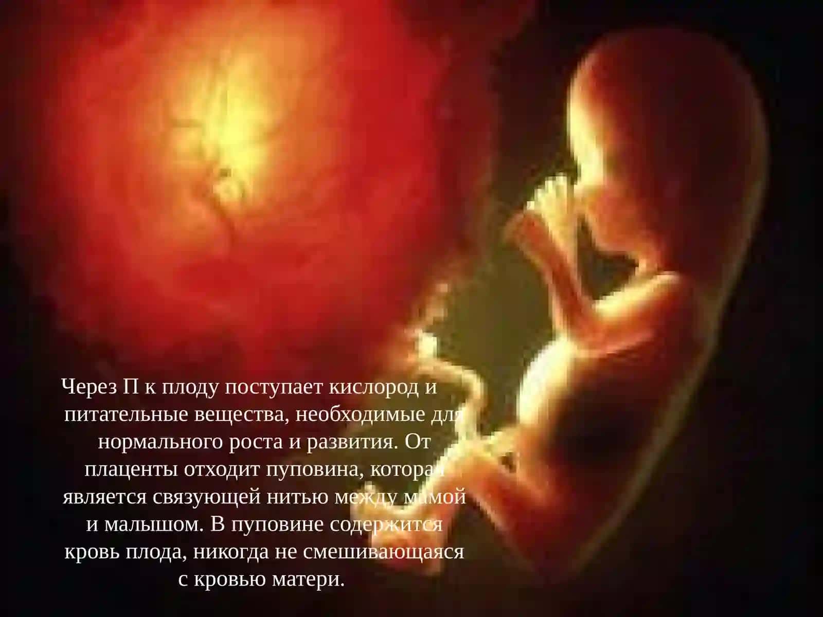 Плацентарные нарушения.Плацентарная недостаточность 3