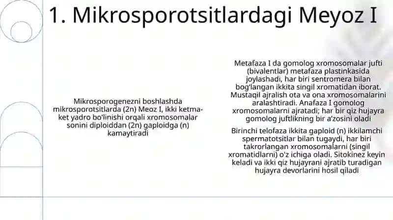 Mikrosporagenez 3