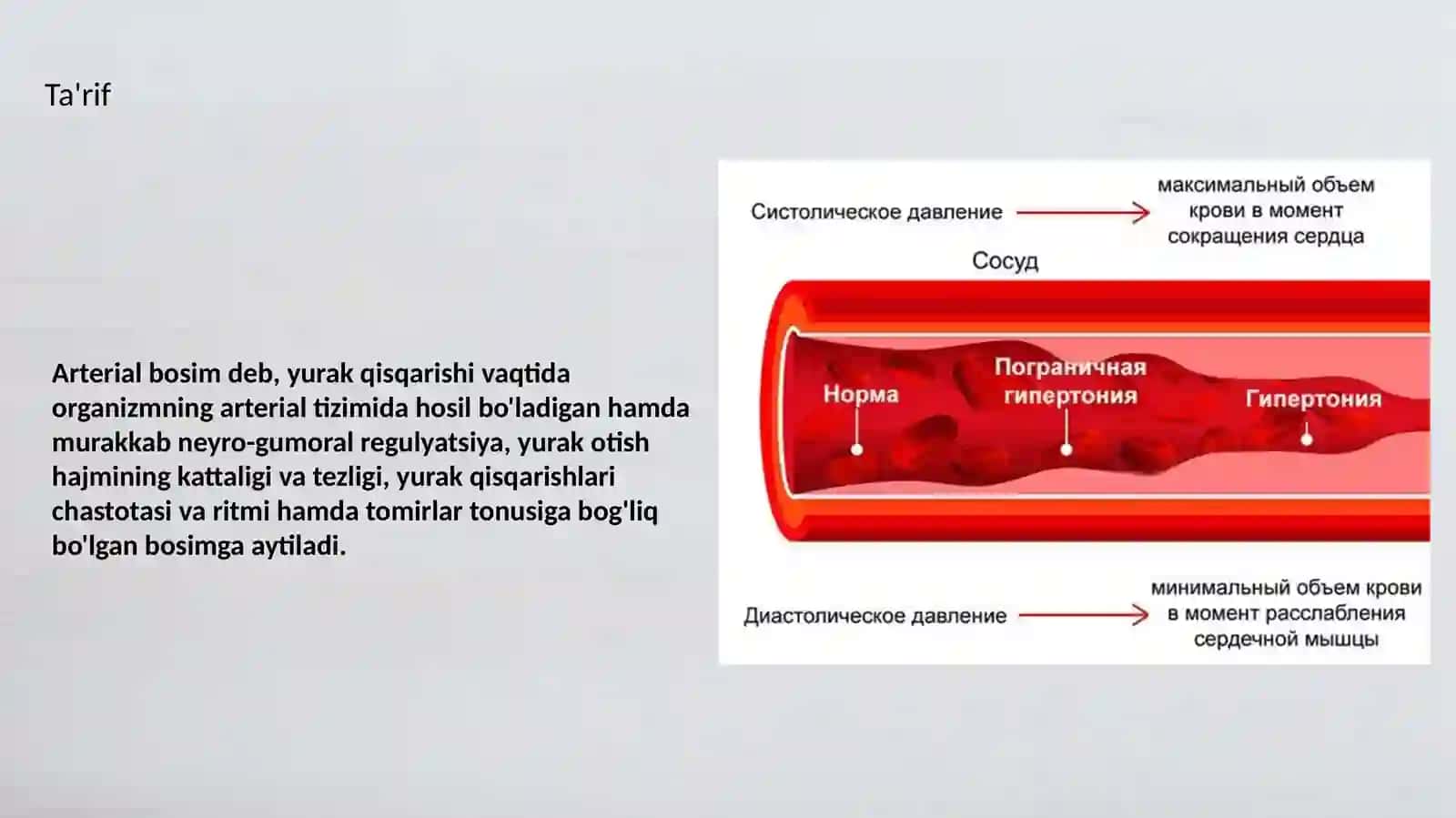 Arterial qon bosimini o'lchash va xatoliklar 3
