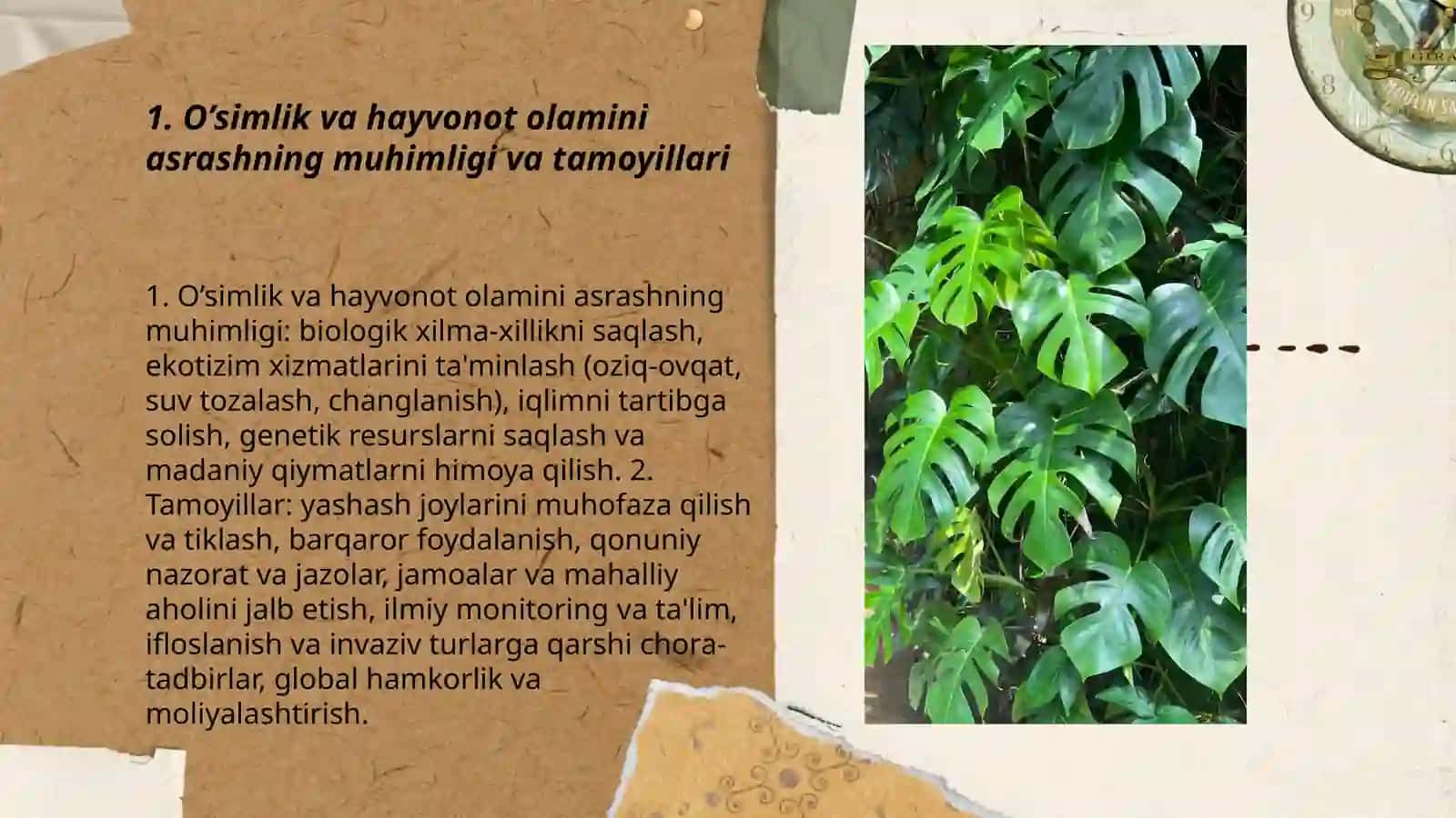 O’simlik va hayvonot olamini muhofaza qilish 3