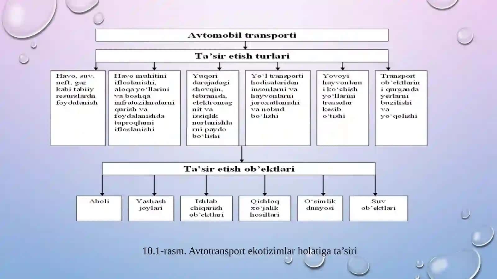 10-mavzu. Yo‘l tarmog‘i va mashina parkini atrof-muhit bilan o‘zaro ta’siri 3