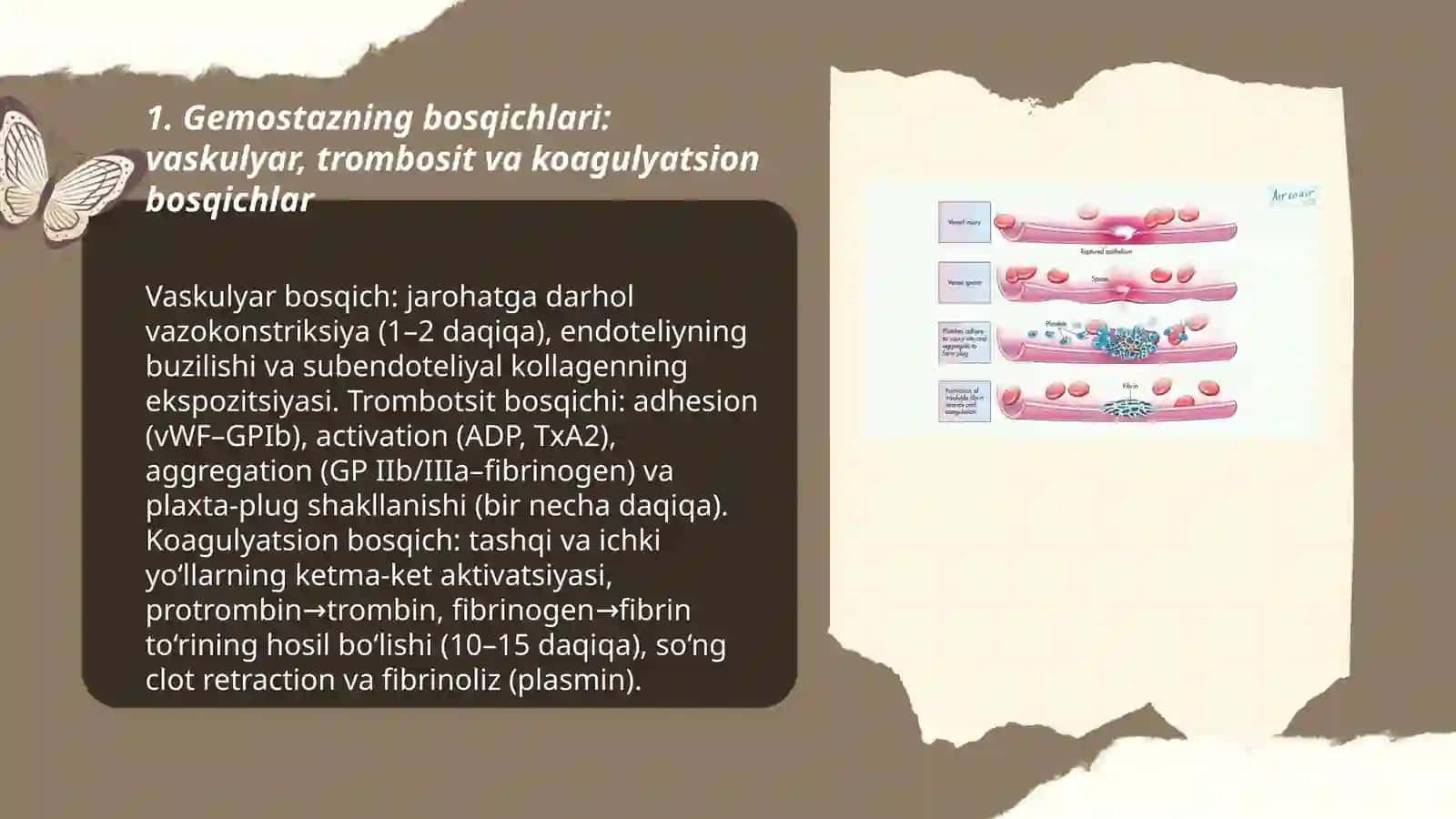 Gemostaz tizimi 3