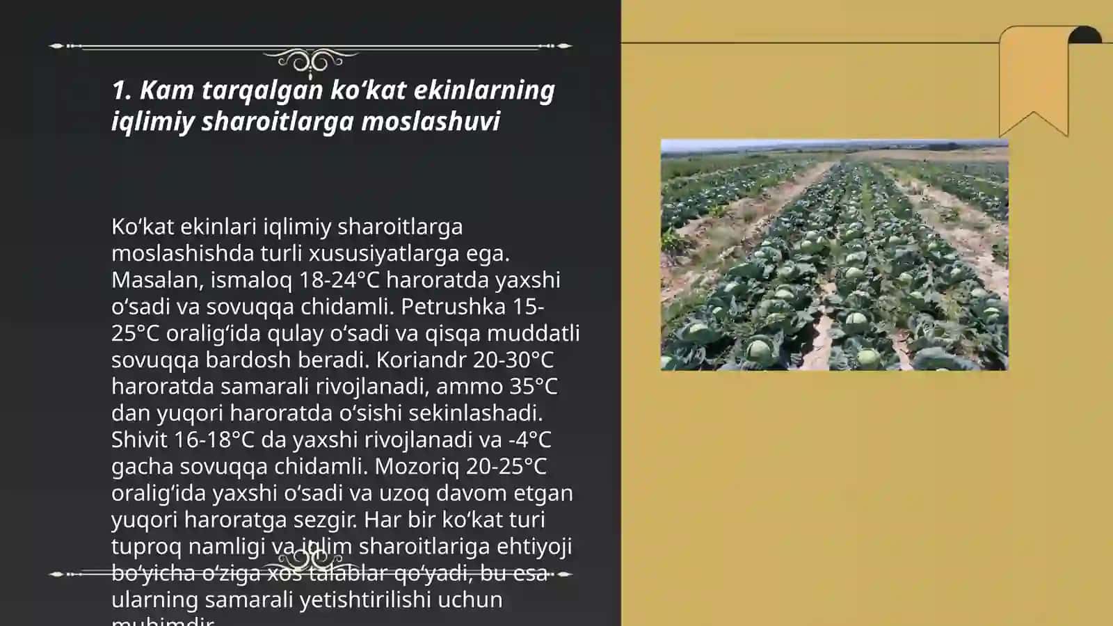 Янгибоев Машарипбой 3