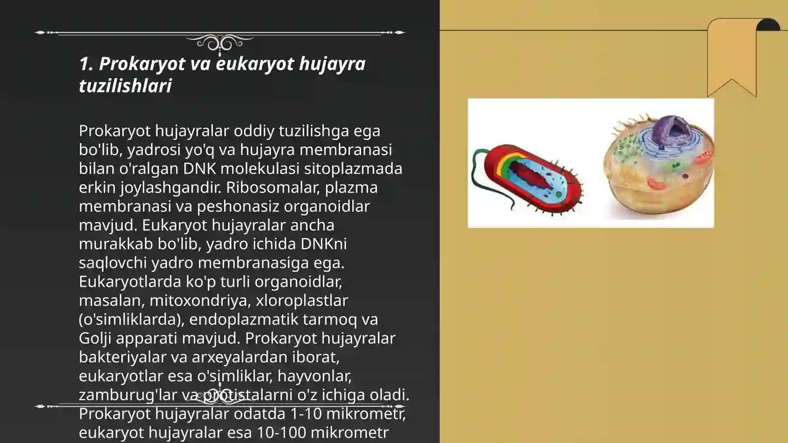 Prokariot va eukariot hujayralar tuzilishi 3