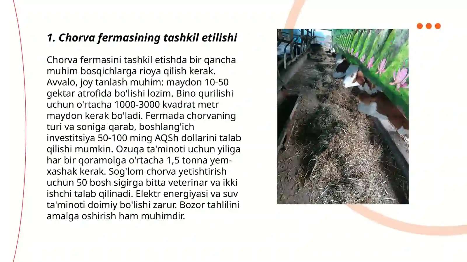 Chorva fermer xojaligi ish tartibi va mahsulotlari 3