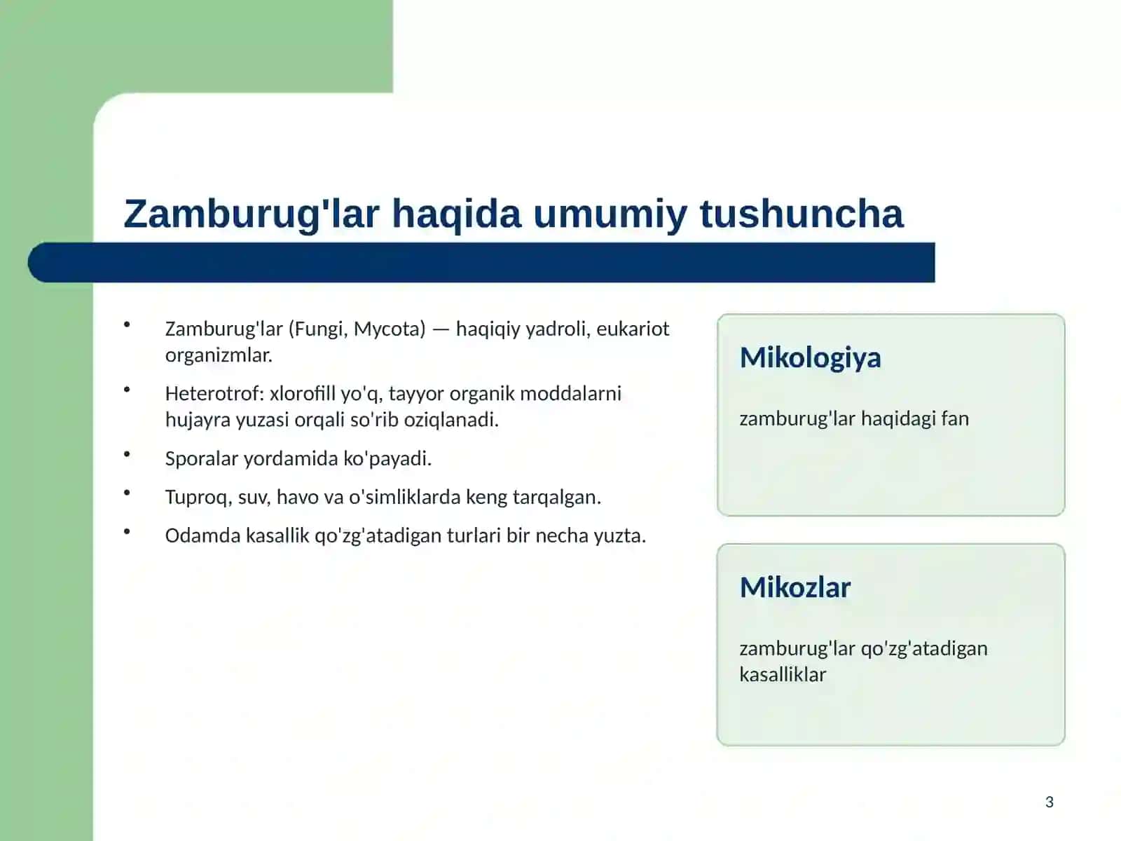 Zamburug'lar. Ularning morfologiyasi, strukturasi va ularni o'rganish usullari 3