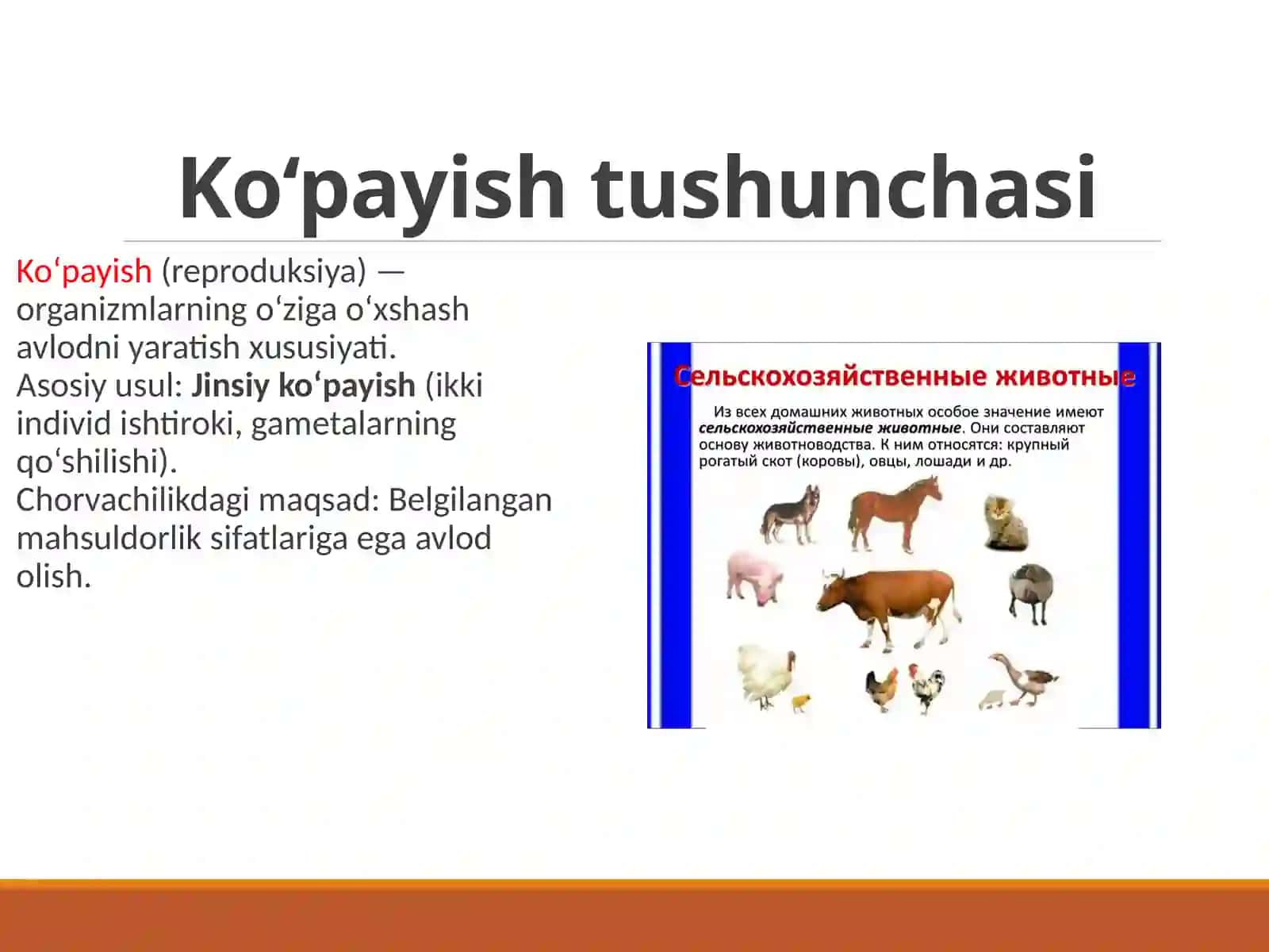 Hayvonlarko’payishining biologikasoslari 3