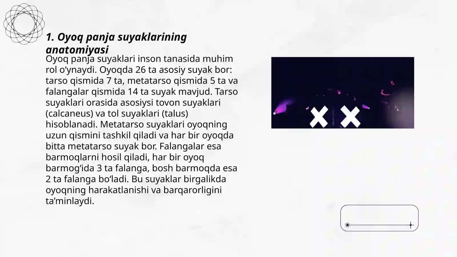 Oyoq Panja Suyaklari 3