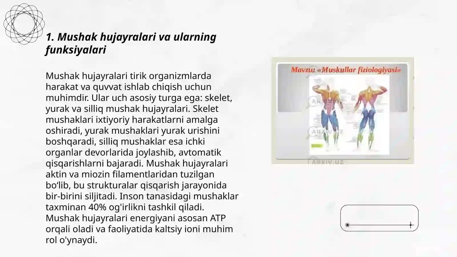 Mushakning fiziologiyasi 3