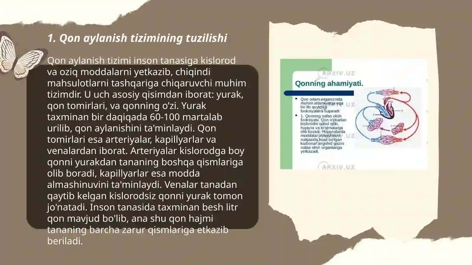 Qon aylanish sistemasining fizik asoslari 3