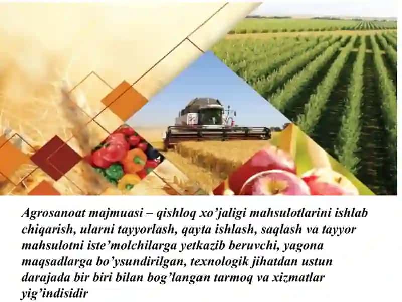 Agrosanoat majmuasi faoliyatini barqaror rivojlantirish yo’nalishlari 3
