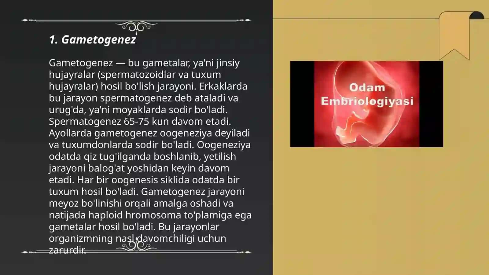Odam embriologiyasi qaltis davrlari 3