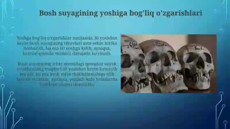 Bosh suyagi 3