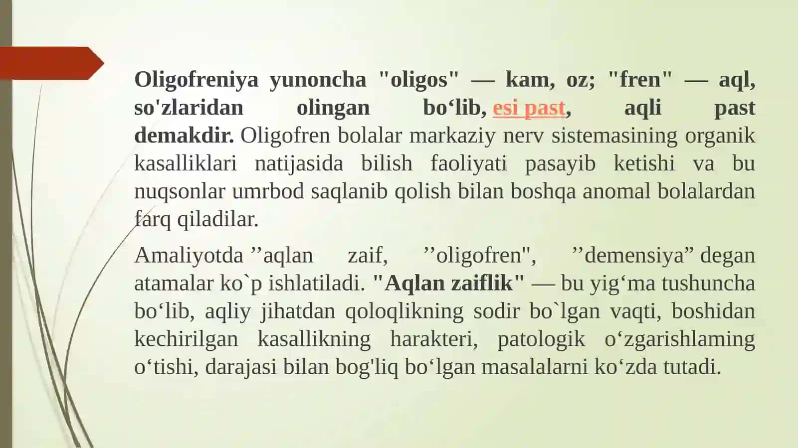 Turli darajadagi intellektual yengilgi bo'lgan bolalar uchun inklyuziv ta'lim strategiyalari 3