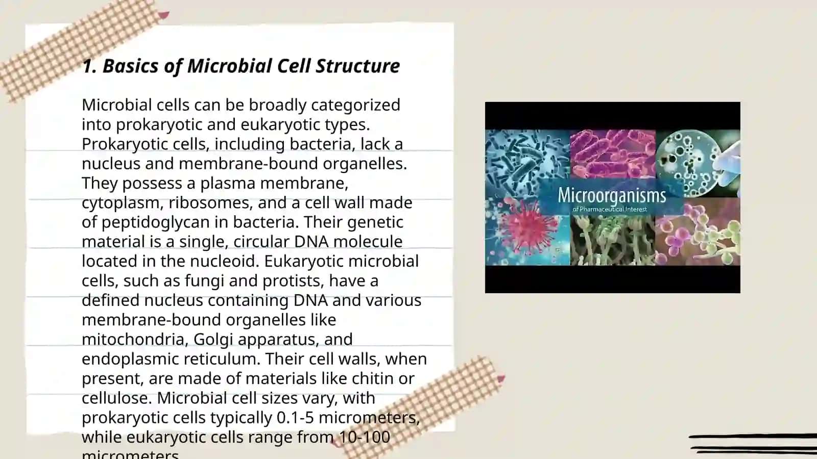 Basics of Microbial Cell Structure 3