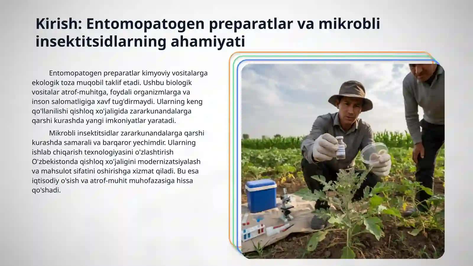 Entomopatogen preperatlar ishlab chiqarish texnologiyasi. Mikrobli
insektitsidlarni olish texnologiyasi 3
