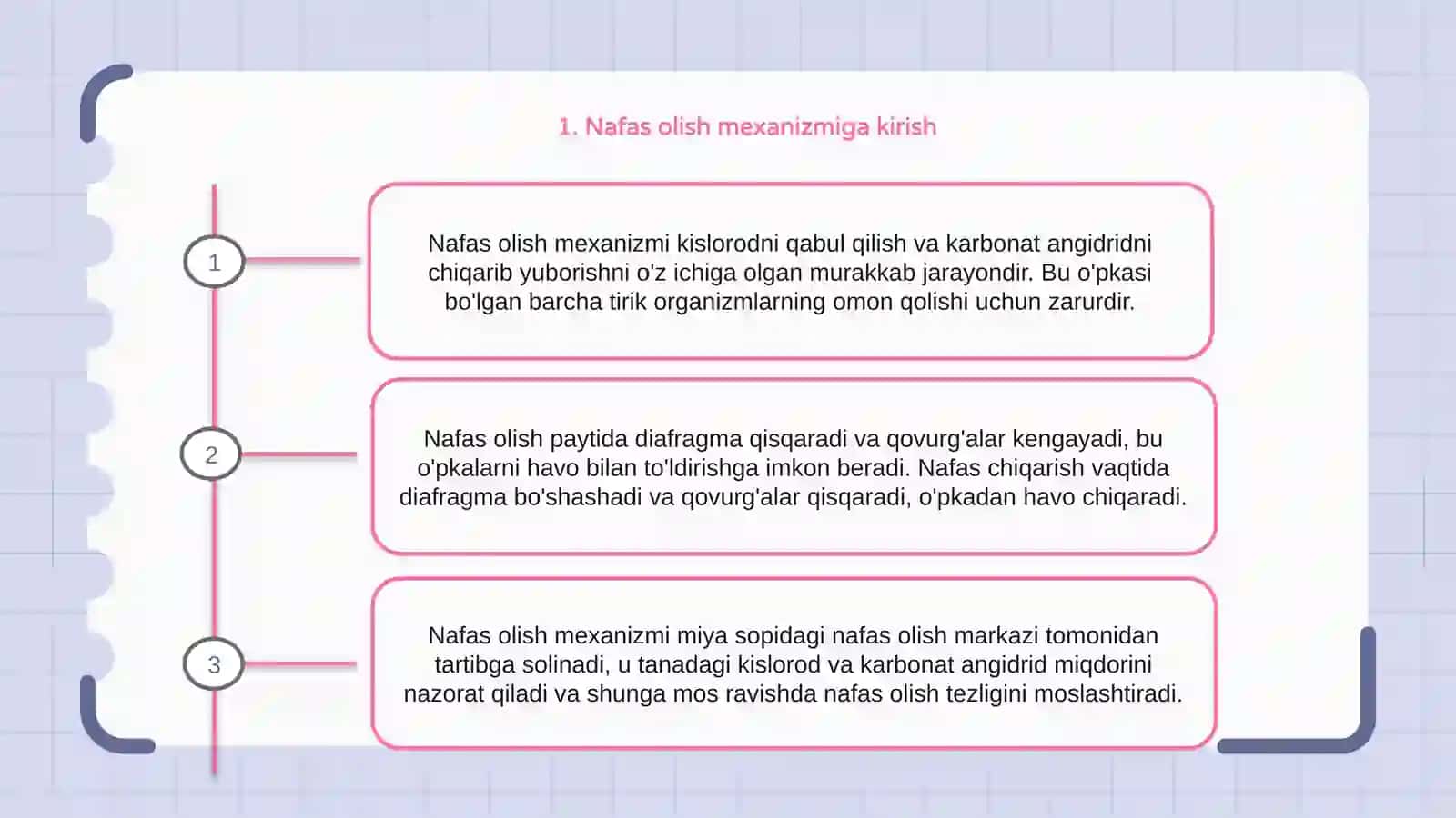 Nafas olish mexanizmi 3