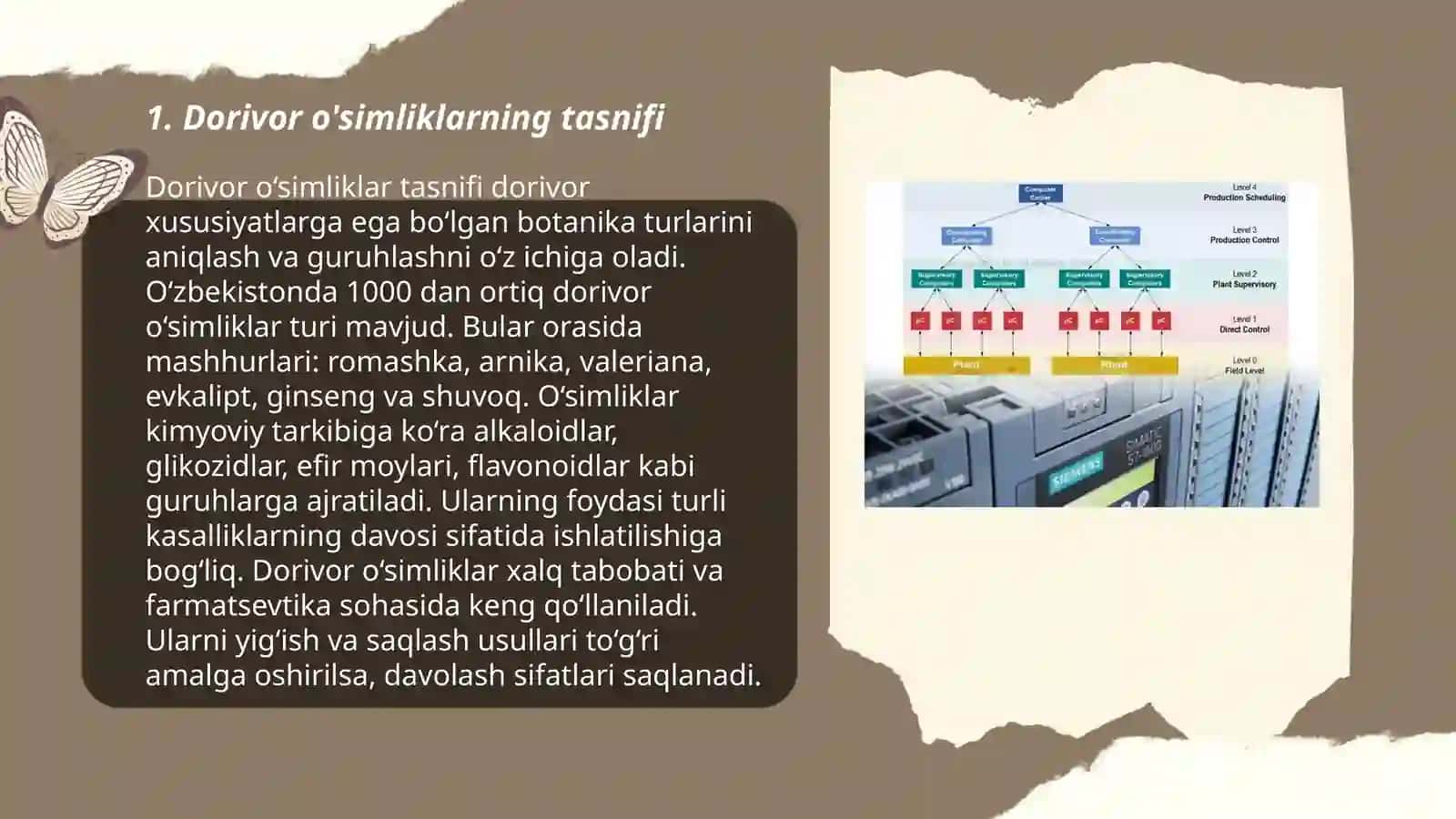 Dorivor o'simliklar sistematikasi va tahlili 3