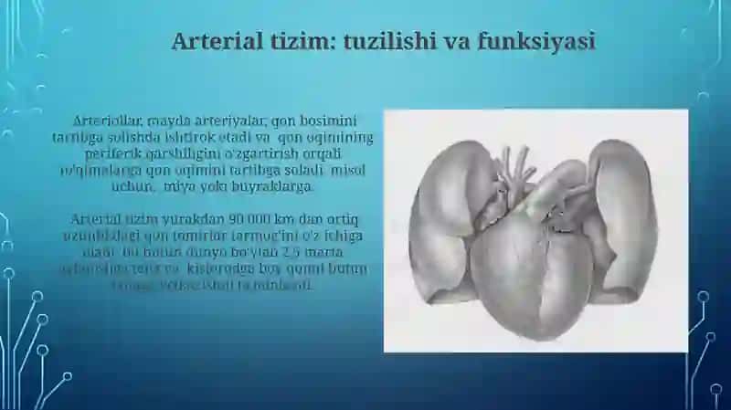 Bor yoki yoʻq qonuni 3