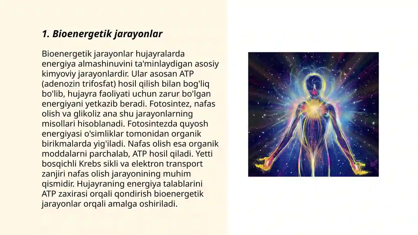 Bio energetika 3