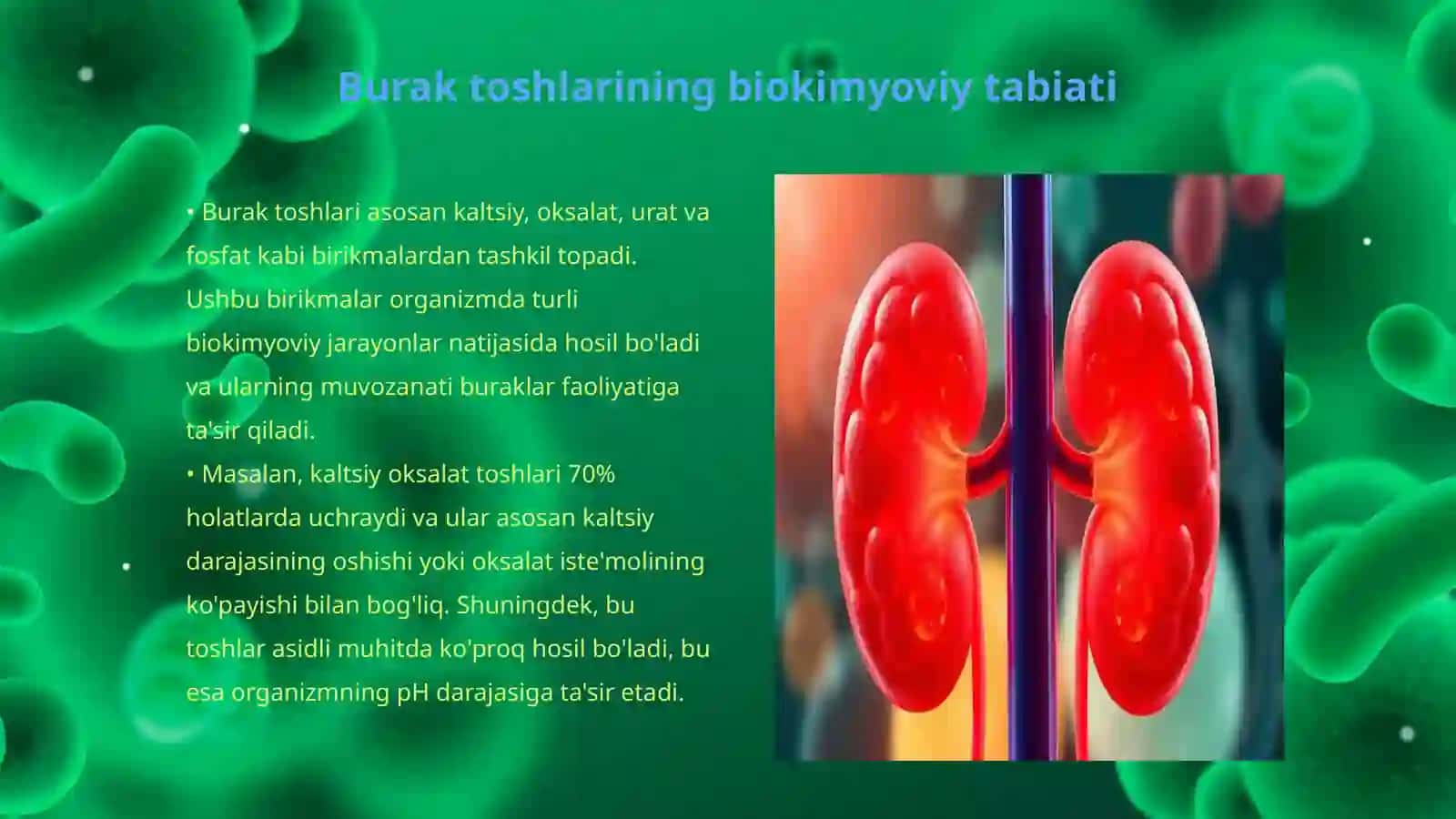 Buraklarda tosh xosil boʻlishini oldini olishning biokimyoviy asoslari 3
