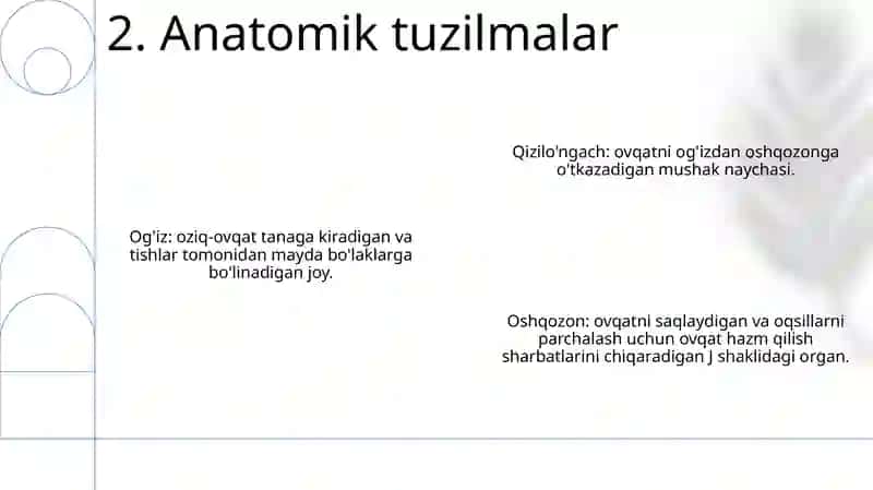 Sutemizuvchilarning Hazm Qilish Sistemasi 3