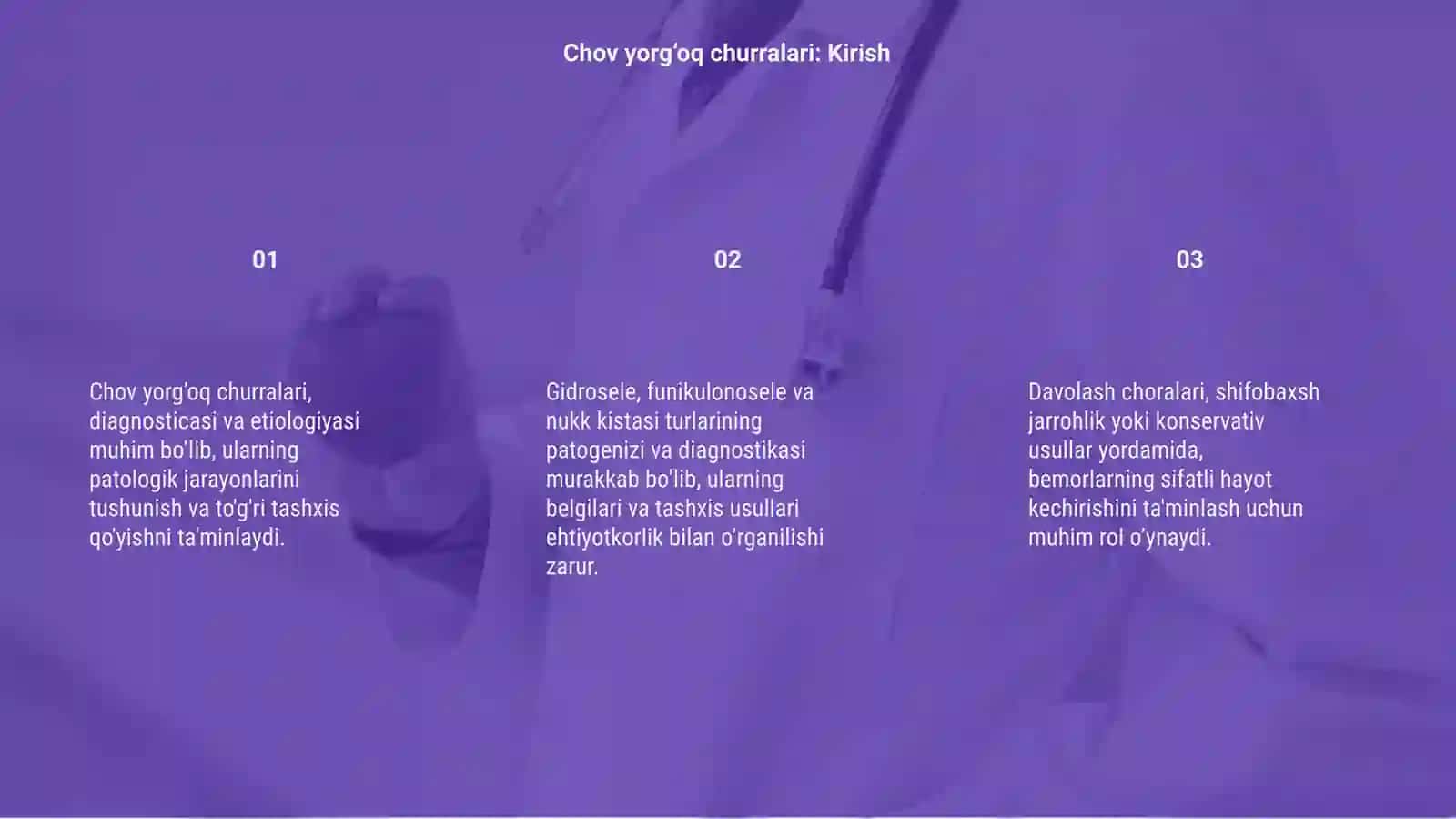 Chov yorg’oq churralari 3