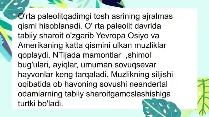 O'RTAPALEOLITDAVRIMANZILGOHLARI 3