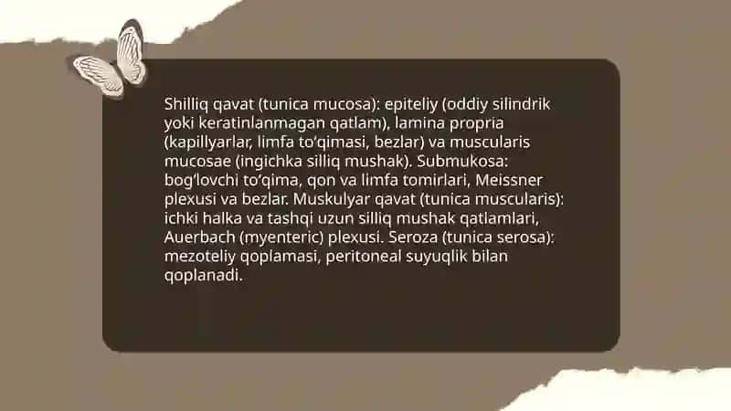 Ovqat hazm qilish tizimi.Jigarning gistologik tuzilishi.Oshqozonosti 3