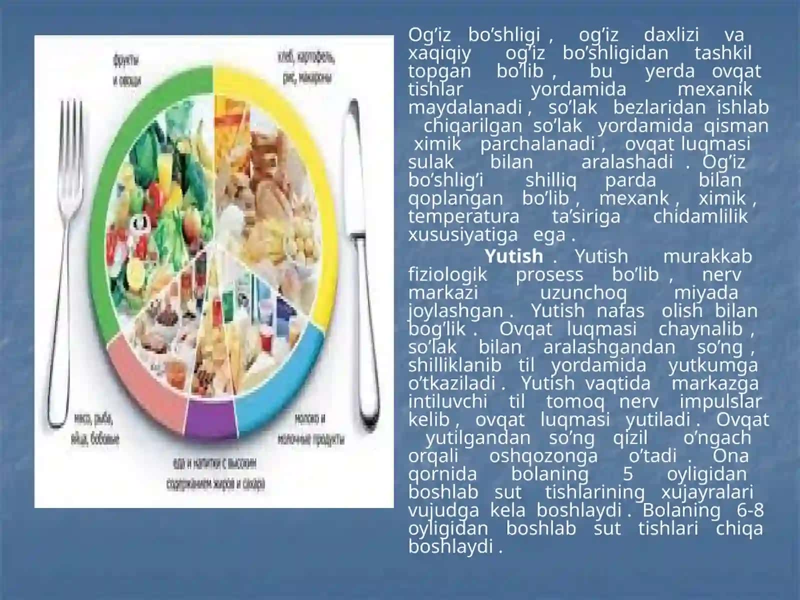 Ovqatlanish gigienasi qon aylanish tizimining yoshga oid xususiyatlari 3