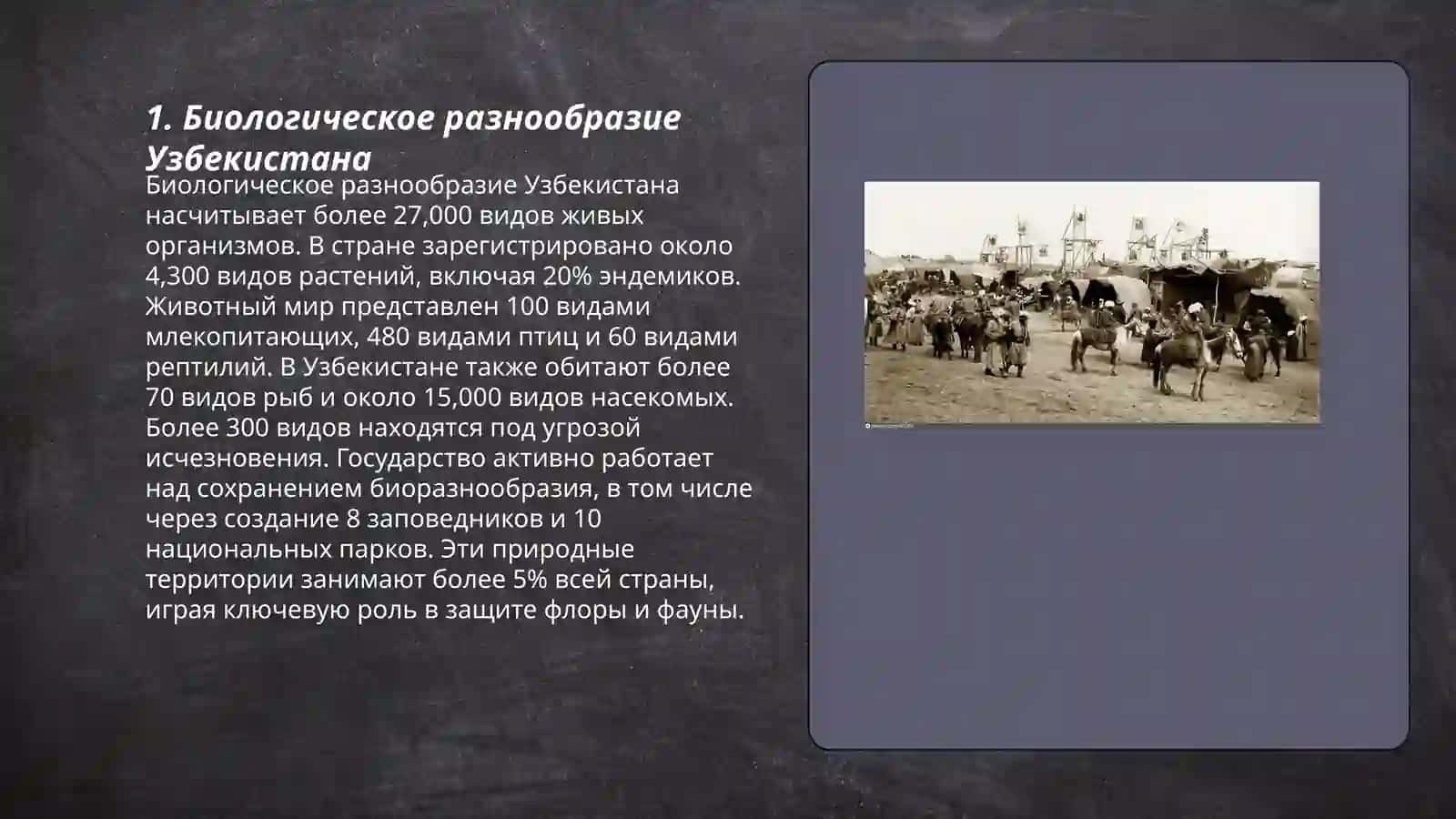 Флора и фауна Узбекистан 3