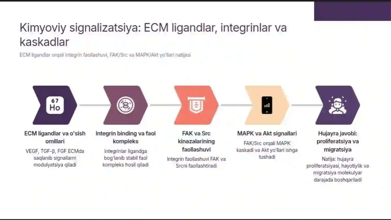 Hujayradan tashqari matriks va hujayra-matriks o'zaro ta'siri. Hujayra regeneratsiyasi mehanizmi 3