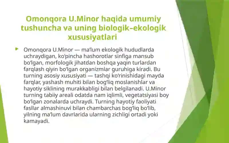 Omonqora U.Minor turini aniqlash usullari 3