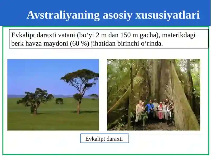 Geografiya 3