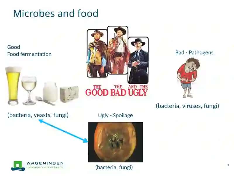 Microbial contaminants 3