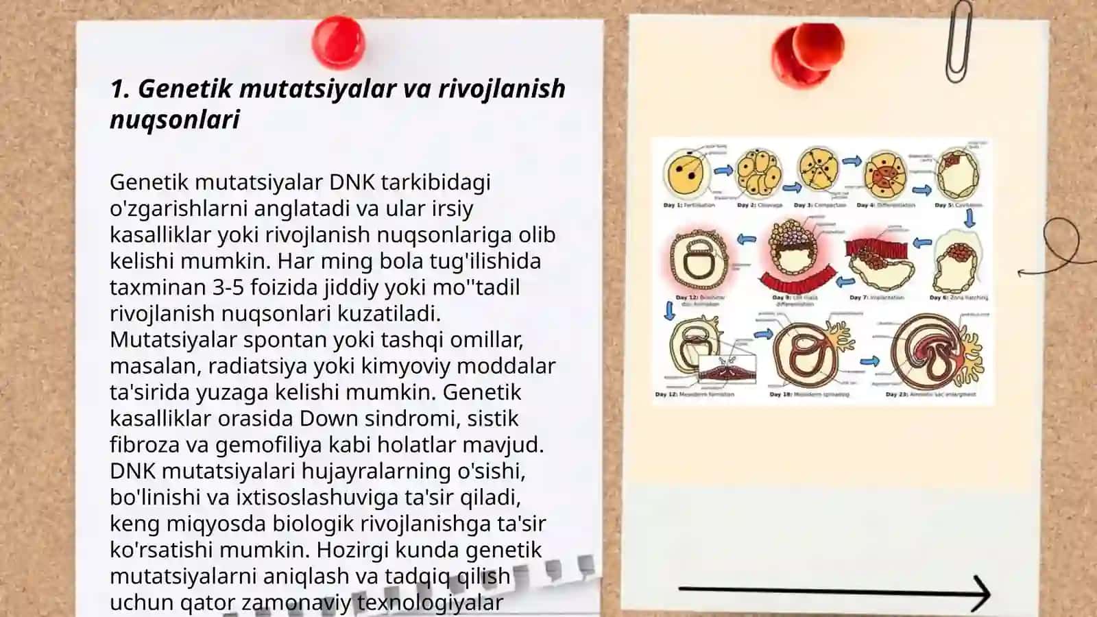 Muhit omillarining embriogenez va tuĝma rivojlanish nuqsonlari shakllanishiga ta'siri. Antropogenezning umumiy savollari 3