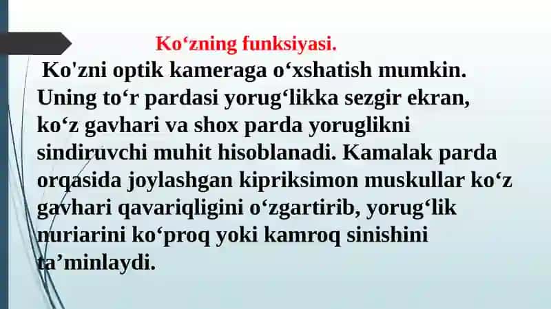 Ko‘znioptikkamera 3