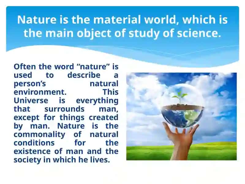 Nature 3